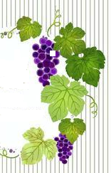 Grape Cluster