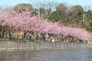 小松が池公園