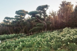 県立城ヶ島公園