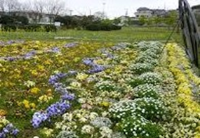 県立観音崎公園