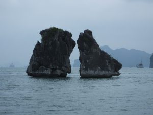 鶏の雌雄の接吻場面