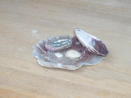 横浜市金沢区から来た兄弟の弟の作品