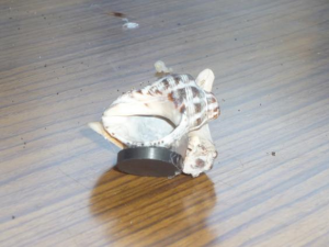 作品 A