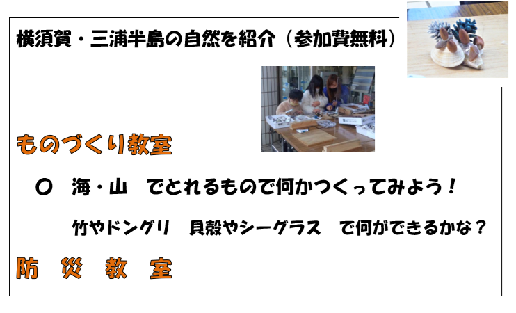チラシ本文