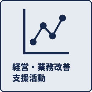 経営・業務改善支援活動